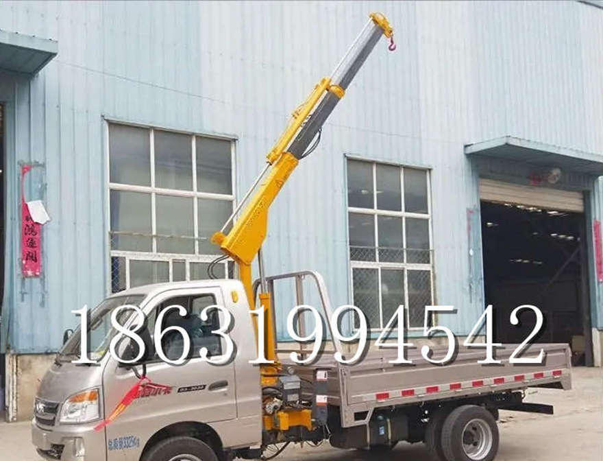 嘉模堂区车载吊机嘉模堂区当地自走可移动式车载吊机自走可移动式出租简易电动行走吊机1吨电动吊机